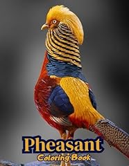 Pheasant coloring book for sale  Delivered anywhere in USA 