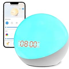 Homidy ready rise for sale  Delivered anywhere in USA 