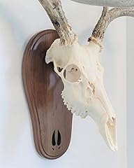 Taxidermists woodshop black for sale  Delivered anywhere in USA 