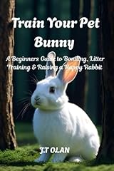 Train pet bunny for sale  Delivered anywhere in USA 