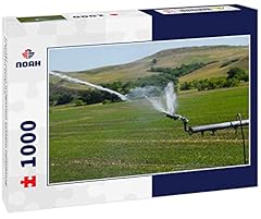 Noah jigsaw puzzle for sale  Delivered anywhere in USA 