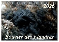 Bouvier flandres d'occasion  Livré partout en Belgiqu