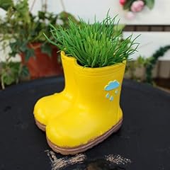 Creative rainboot flower for sale  Delivered anywhere in USA 