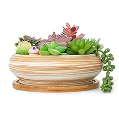 Artketty succulent pots for sale  Delivered anywhere in USA 