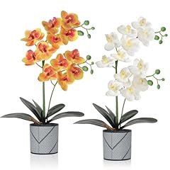 Lomohoo lot fleurs d'occasion  Livré partout en Belgiqu