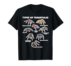 Types tarantulas pink for sale  Delivered anywhere in USA 