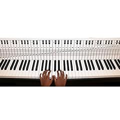 Piano keyboard note for sale  Delivered anywhere in USA 