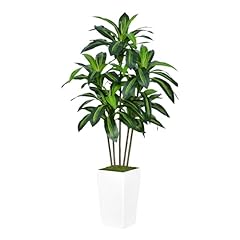 Artificial dracaena plants for sale  Delivered anywhere in USA 