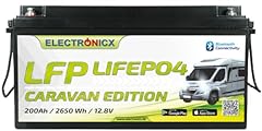 Lifepo4 200ah batterie gebraucht kaufen  Wird an jeden Ort in Deutschland