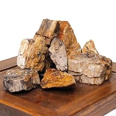 Amtra petrified rock for sale  Delivered anywhere in Ireland