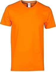 Chemagliette pacchetto shirt usato  Spedito ovunque in Italia 