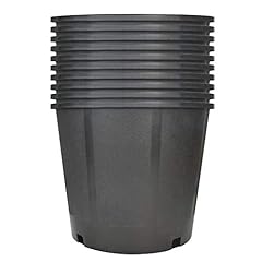 Xcshus plant nursery for sale  Delivered anywhere in USA 