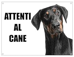 Dobermann attenti cane usato  Spedito ovunque in Italia 
