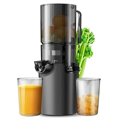 Masticating juicer safe for sale  Delivered anywhere in USA 