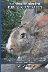 Complete guide flemish for sale  Delivered anywhere in USA 