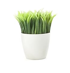 Kikkerland potted pen for sale  Delivered anywhere in USA 