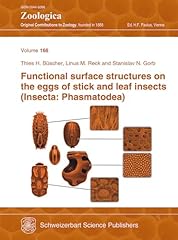 Functional surface structures for sale  Delivered anywhere in UK