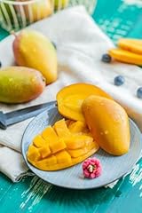 Mangifera indica sensation gebraucht kaufen  Wird an jeden Ort in Deutschland