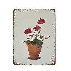 Asfqweff red geranium for sale  Delivered anywhere in USA 