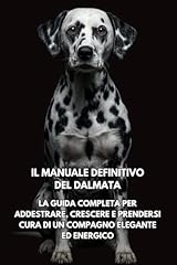 Manuale definitivo del usato  Spedito ovunque in Italia 