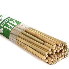 Swangsa pack bamboo for sale  Delivered anywhere in USA 