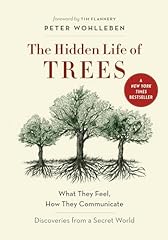 Hidden life trees for sale  Delivered anywhere in USA 