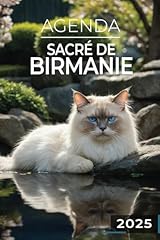 Agenda 2025 sacré d'occasion  Livré partout en France