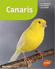 elevage oiseaux canaris d'occasion  Livré partout en France