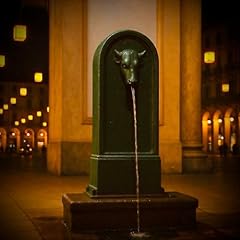 Torino usato  Spedito ovunque in Italia 