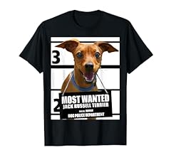 Wanted jack russell for sale  Delivered anywhere in USA 