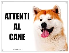 Akita inu attenti usato  Spedito ovunque in Italia 