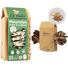 Boite champignons kit usato  Spedito ovunque in Italia 