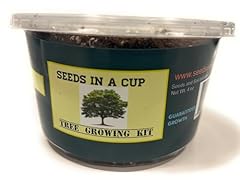 Seeds cup tree for sale  Delivered anywhere in USA 