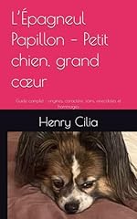 épagneul papillon petit d'occasion  Livré partout en France