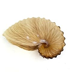 Heyiwell brown paper for sale  Delivered anywhere in USA 