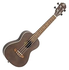 Rtega guitars konzert gebraucht kaufen  Wird an jeden Ort in Deutschland
