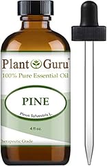 Plant guru pine for sale  Delivered anywhere in USA 