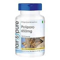 Fair pure polyporus usato  Spedito ovunque in Italia 