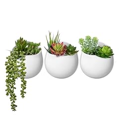 Mkono wall planter for sale  Delivered anywhere in USA 