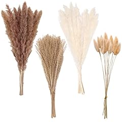 Pampas grass boho for sale  Delivered anywhere in USA 
