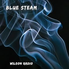 Blue steam gebraucht kaufen  Wird an jeden Ort in Deutschland