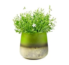Sendez blumenvase barbara gebraucht kaufen  Wird an jeden Ort in Deutschland