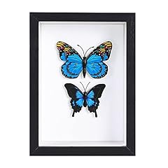 Besidotree 4x6 black for sale  Delivered anywhere in USA 