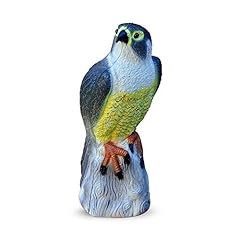 Winsome falcon bird for sale  Delivered anywhere in UK