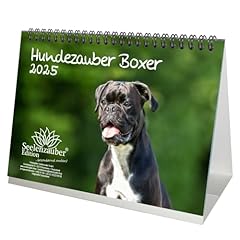 Cani magia boxer usato  Spedito ovunque in Italia 