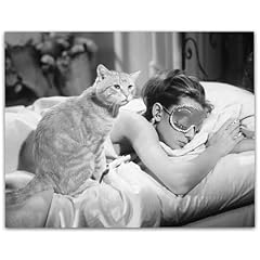 Audrey hepburn breakfast for sale  Delivered anywhere in USA 