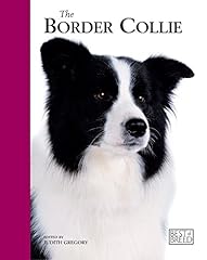 Border collie pet d'occasion  Livré partout en Belgiqu