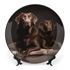 Qmnbtes brown labrador for sale  Delivered anywhere in USA 