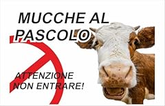 Cartello segnaletico mucche usato  Spedito ovunque in Italia 