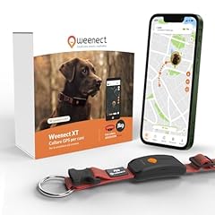 Weenect dog nuovo usato  Spedito ovunque in Italia 